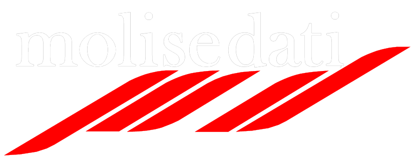 Logo Molise Dati